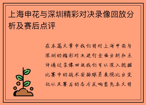 上海申花与深圳精彩对决录像回放分析及赛后点评